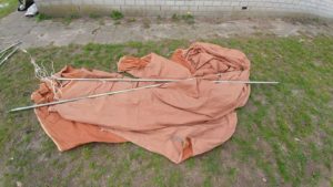 Tarp